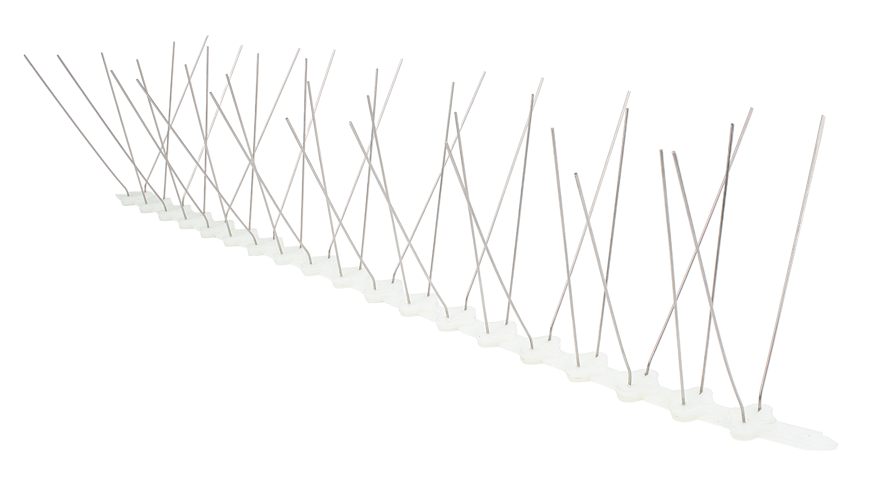Stainless Steel Bird Spikes