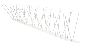 Stainless Steel Bird Spikes