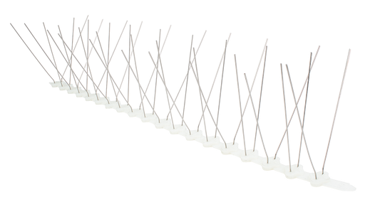 Stainless Steel Bird Spikes
